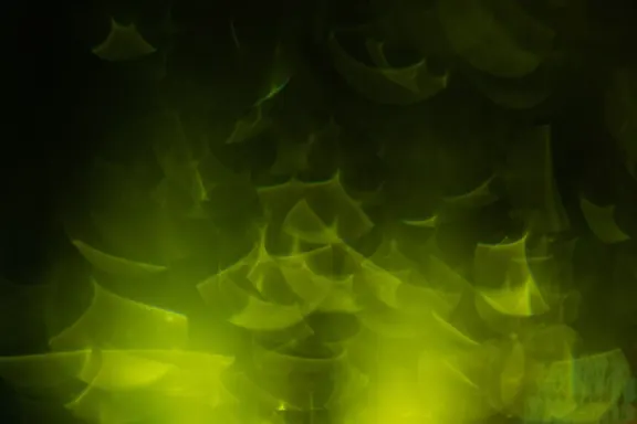 빌리언 카지노 지원